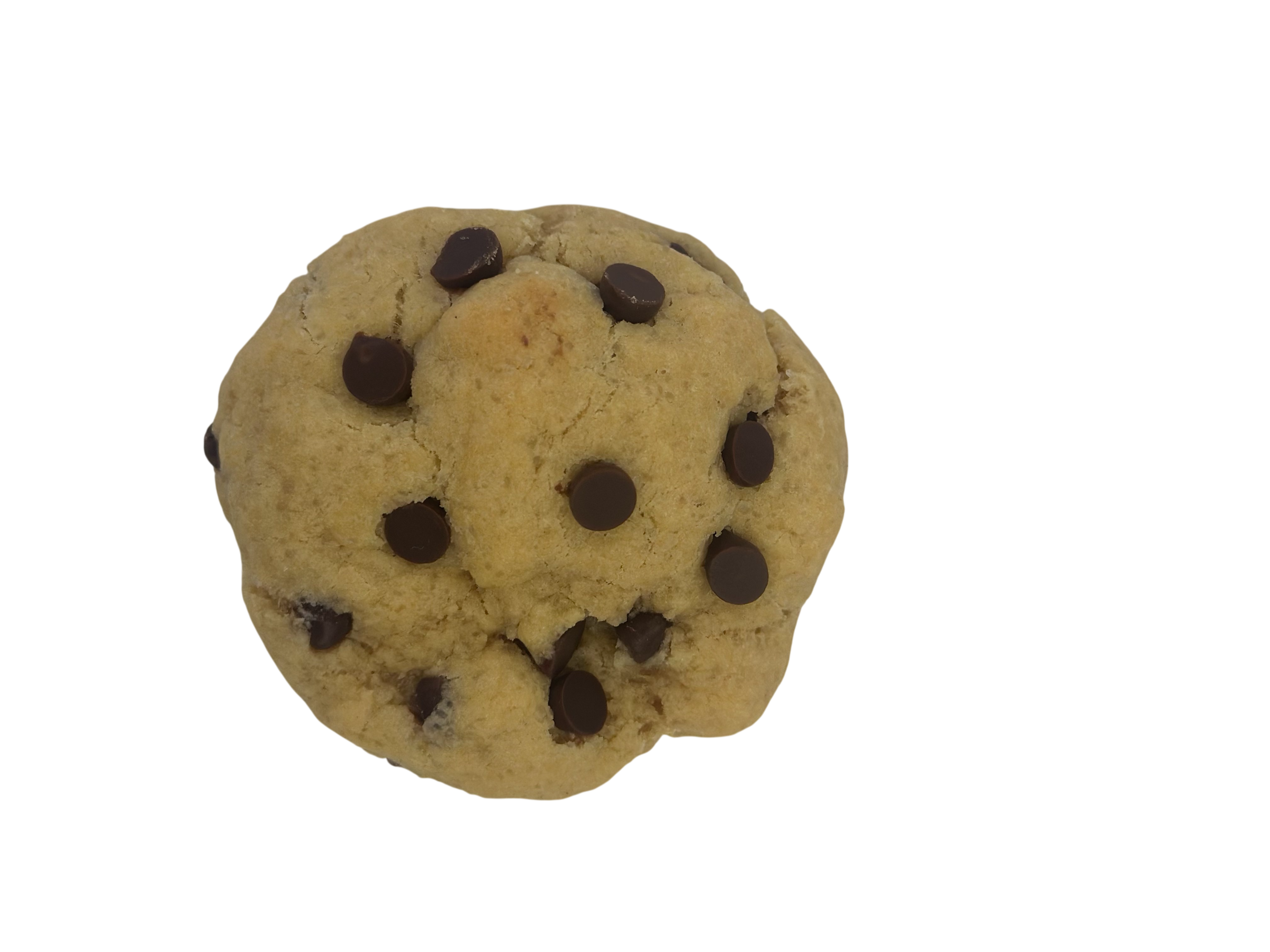 Chocolate Chip
